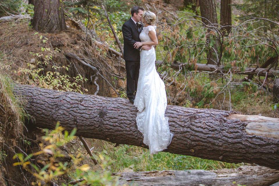 Organic spring wedding cake twenty mile house wedding northern california