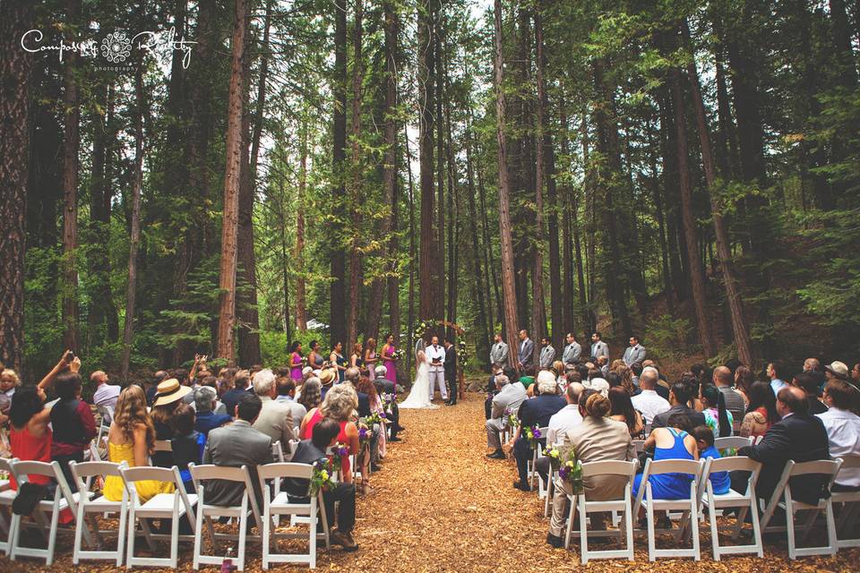Wedding aisle in the forest