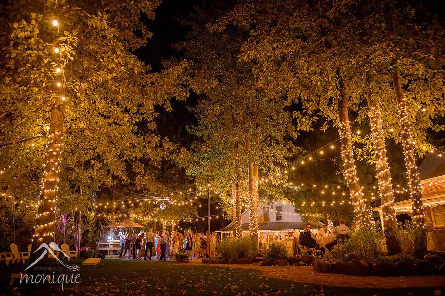 Reception lights twenty mile house wedding venue tahoe/reno