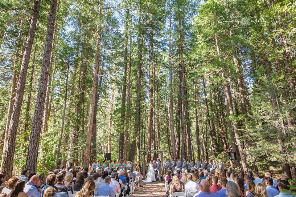 Forest ceremony twenty mile house wedding venue northern california