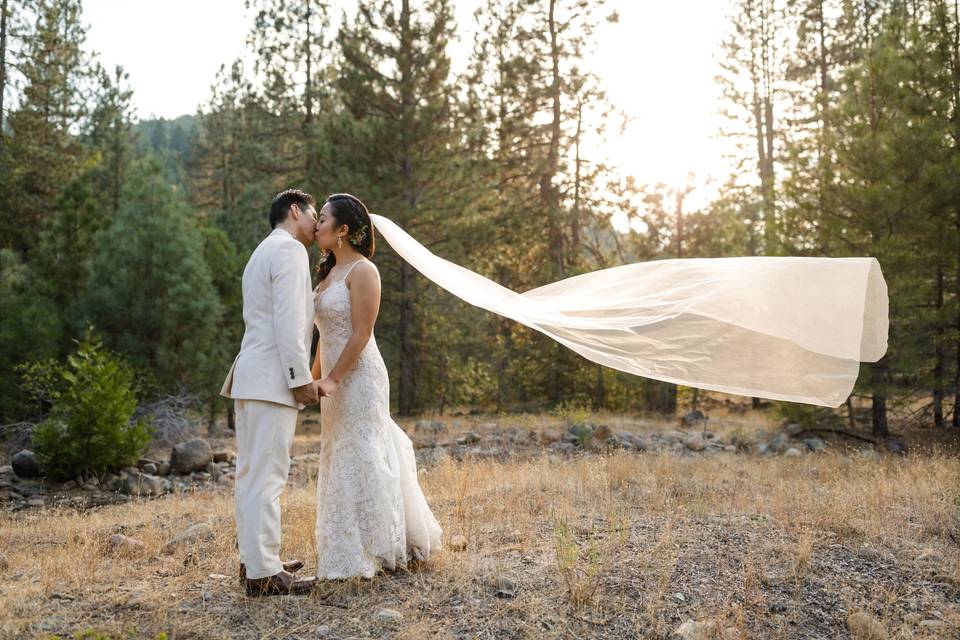 Forest surrounding twenty mile house wedding graeagle california