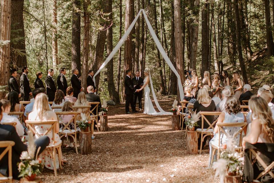 Forest ceremony vows