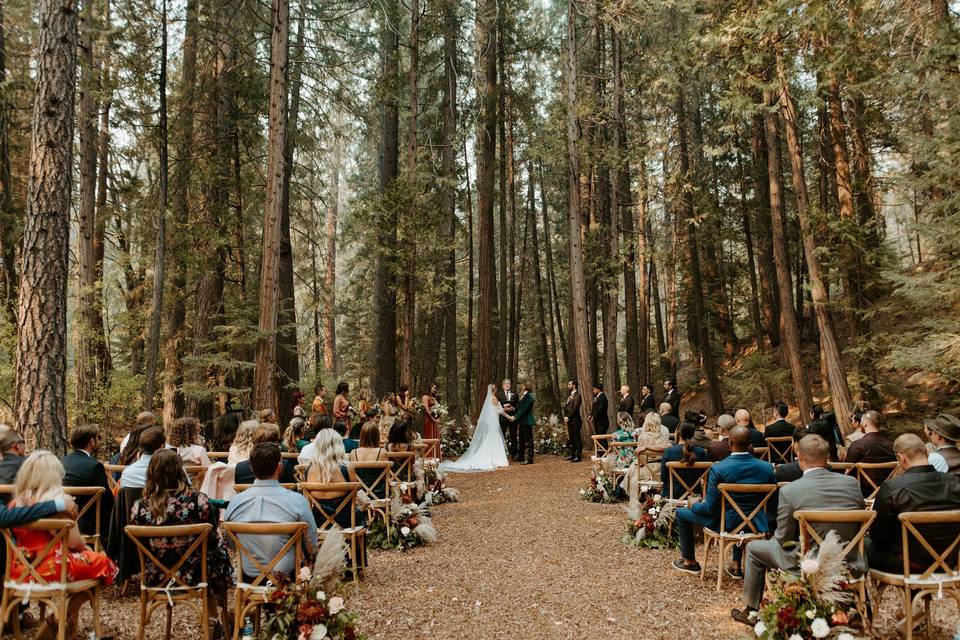 Forest towering ceremony