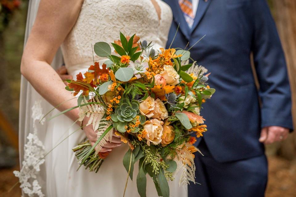 Fall color flowers