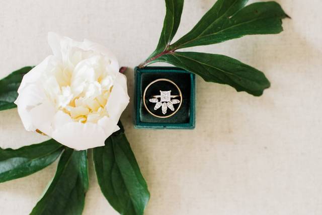 Erin L. Taylor Photography