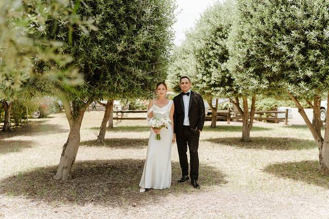 Olive Grove