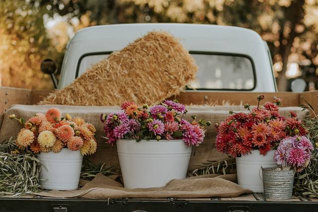 Flower Truck