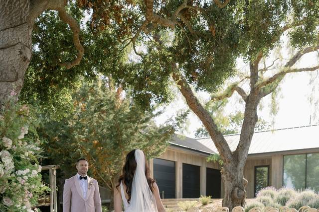 Oak Tree Lawn