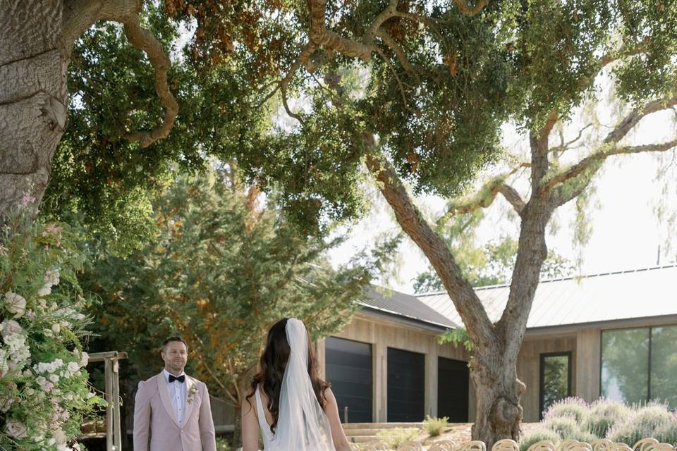 Oak Tree Lawn