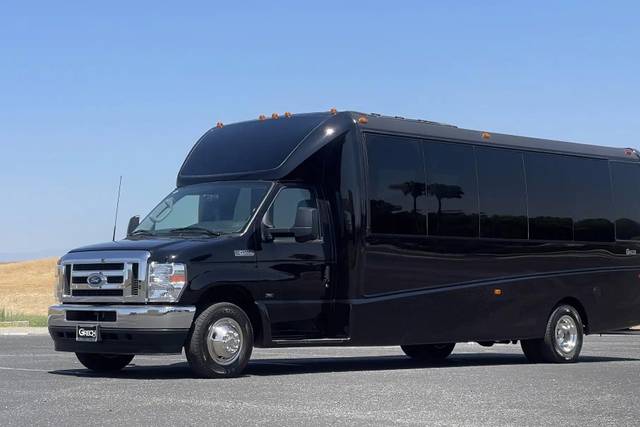 Luxury Mini Coach
