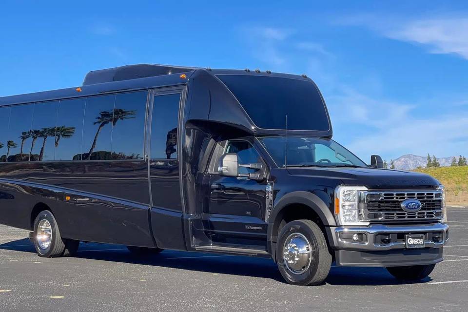 Luxury Mini Coach