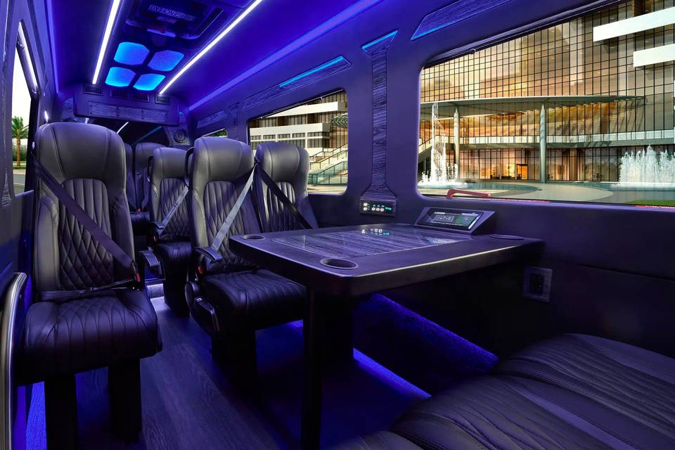 Luxury Mini Coach Interior