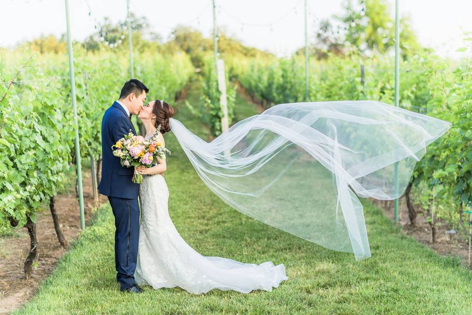 Winery Wedding