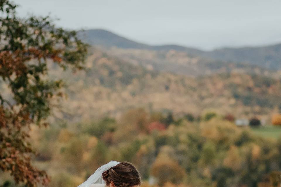 Bride and Bridesmaid