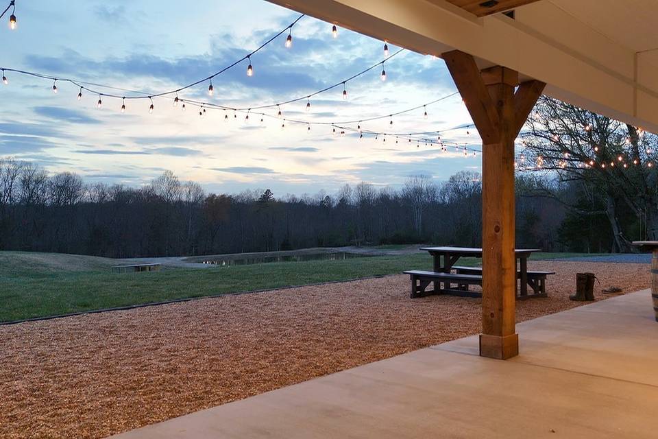 Pond View