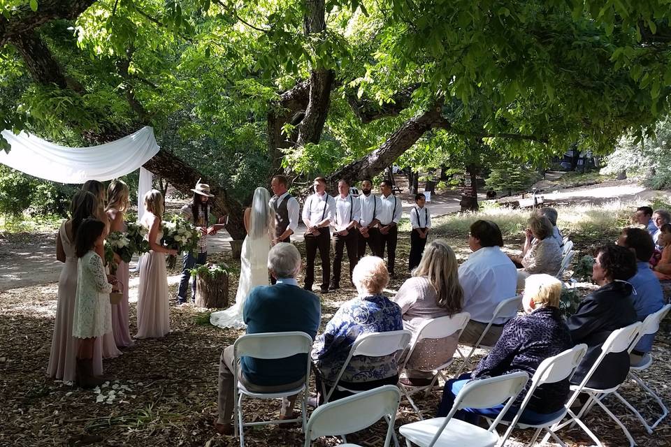 Wedding ceremony