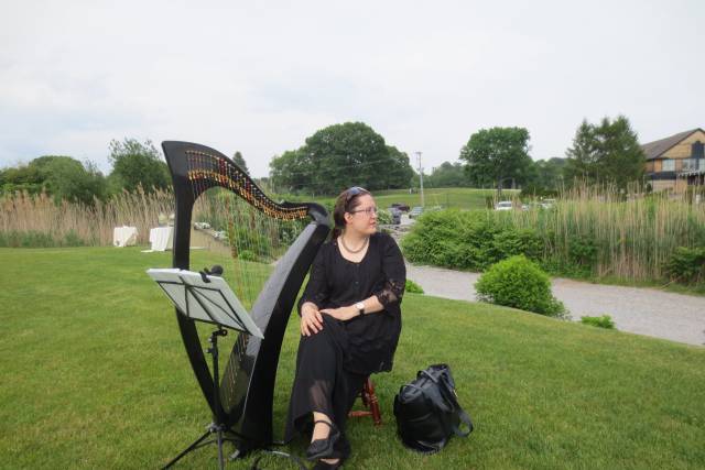 Liz Ammerman, Harpist
