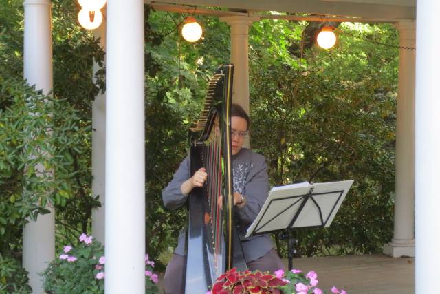 Liz Ammerman, Harpist
