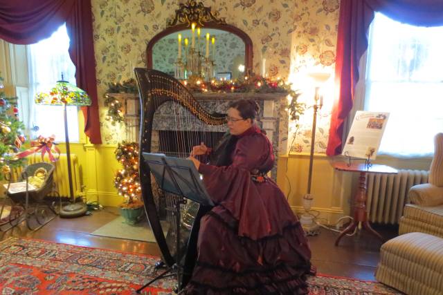 Liz Ammerman, Harpist