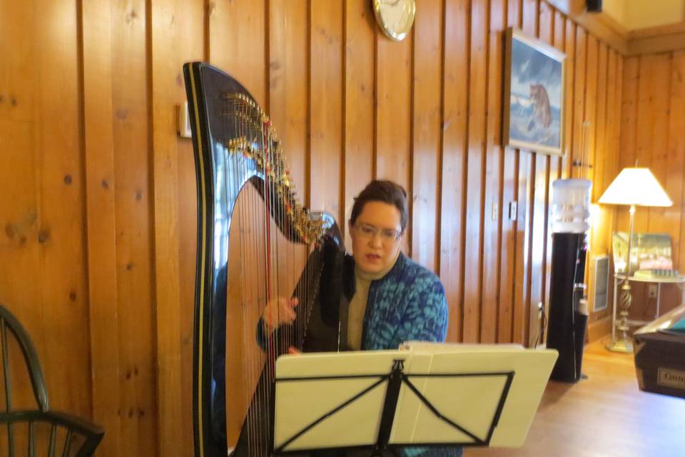 Liz Ammerman, Harpist