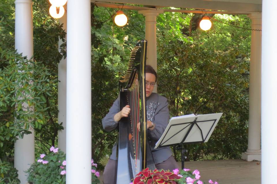 Liz Ammerman, Harpist