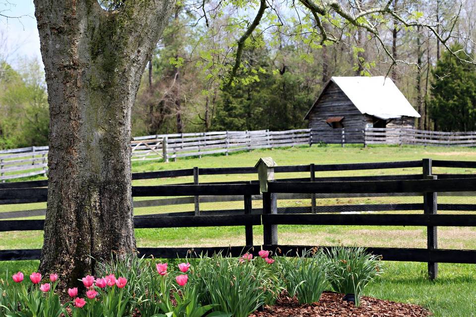 Lake O' the Woods Estate