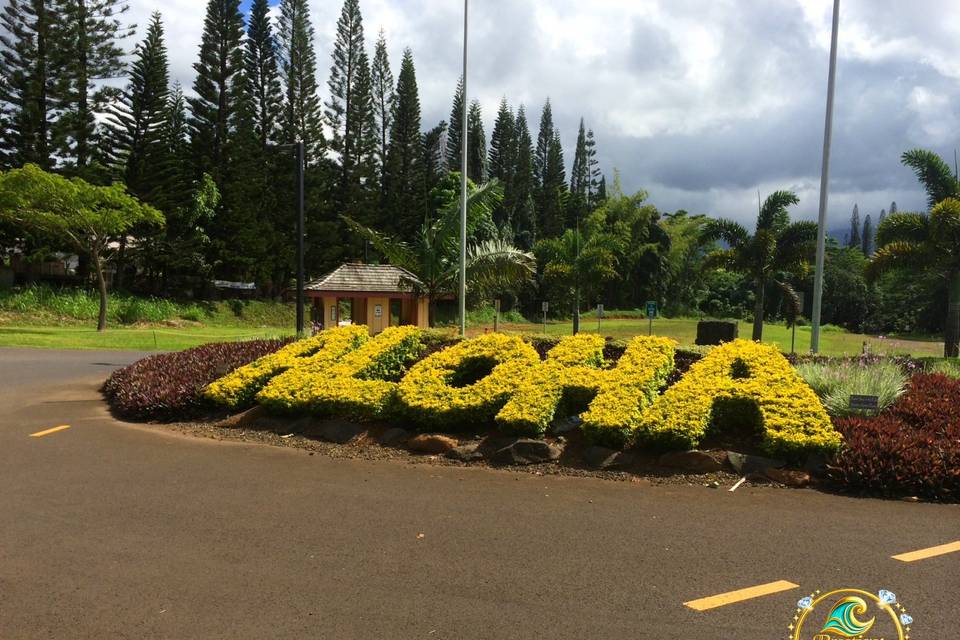 final_ALOHA.JPG