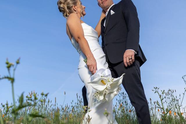 Vineyard Wedding