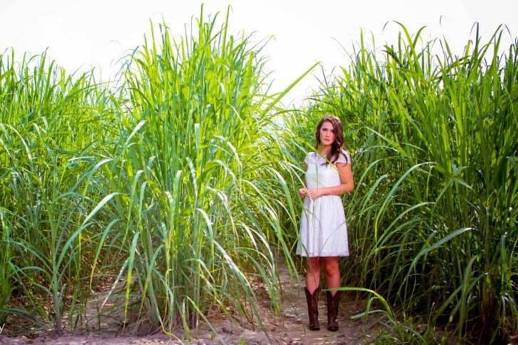 Louisiana Bride