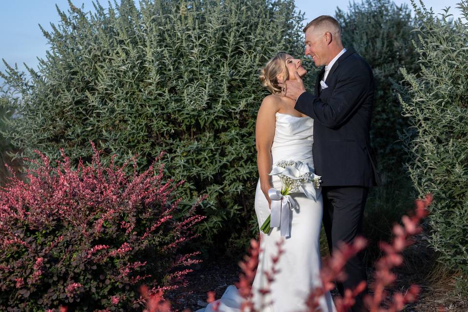 Vineyard Wedding