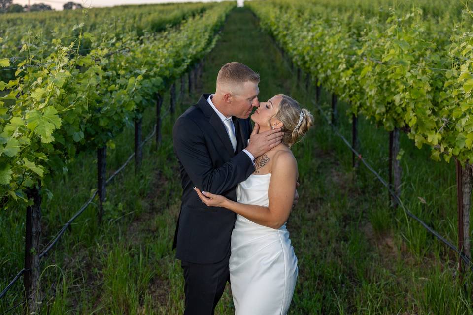 Vineyard Wedding