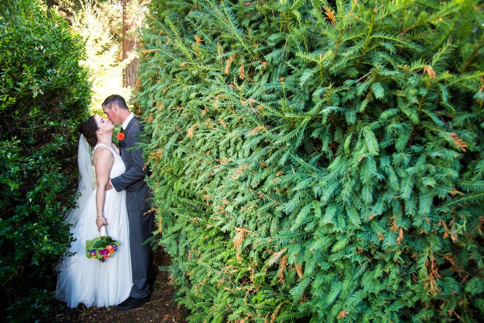 Kiss in the Bushes