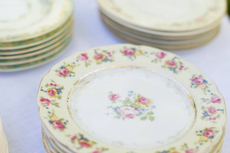 Dainty plates | Katherine Miles Jones Photograph