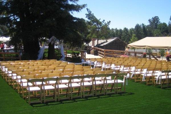 Natural wood folding chairs are lined up viewing the ceremony platform placed under 3 200' tall sequoia redwoods. Absolutely breathtaking.