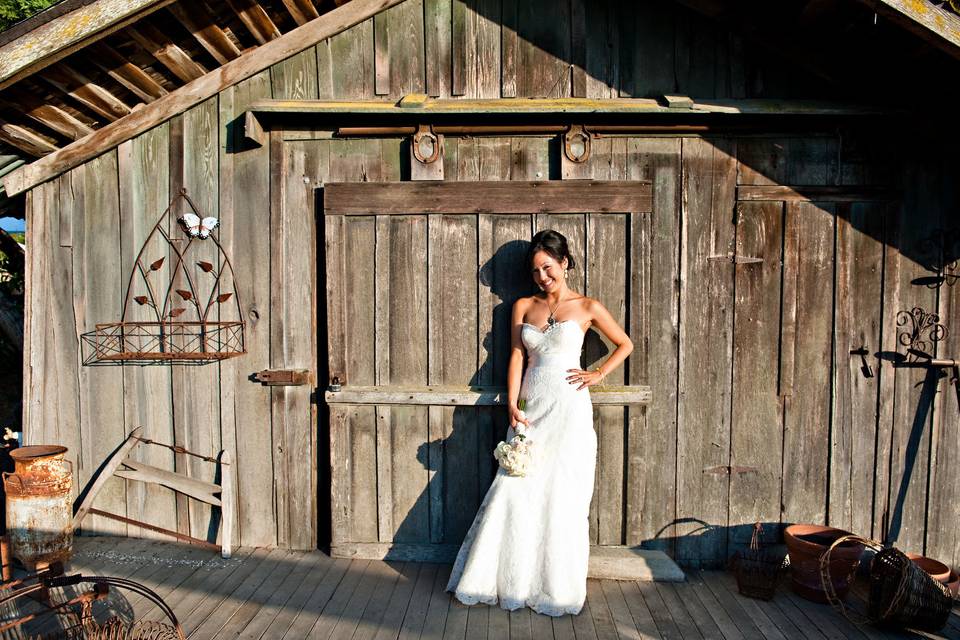 Bride's portrait