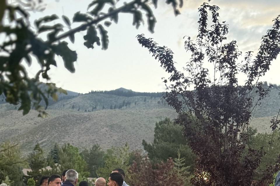 Engagement