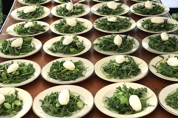 Plating salads