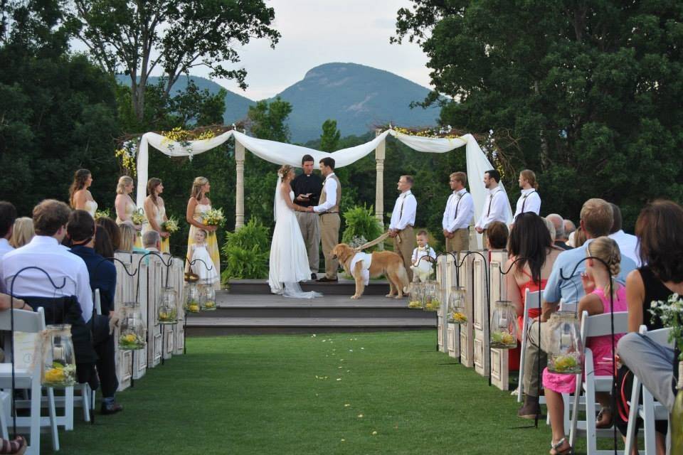 Vineyard wedding