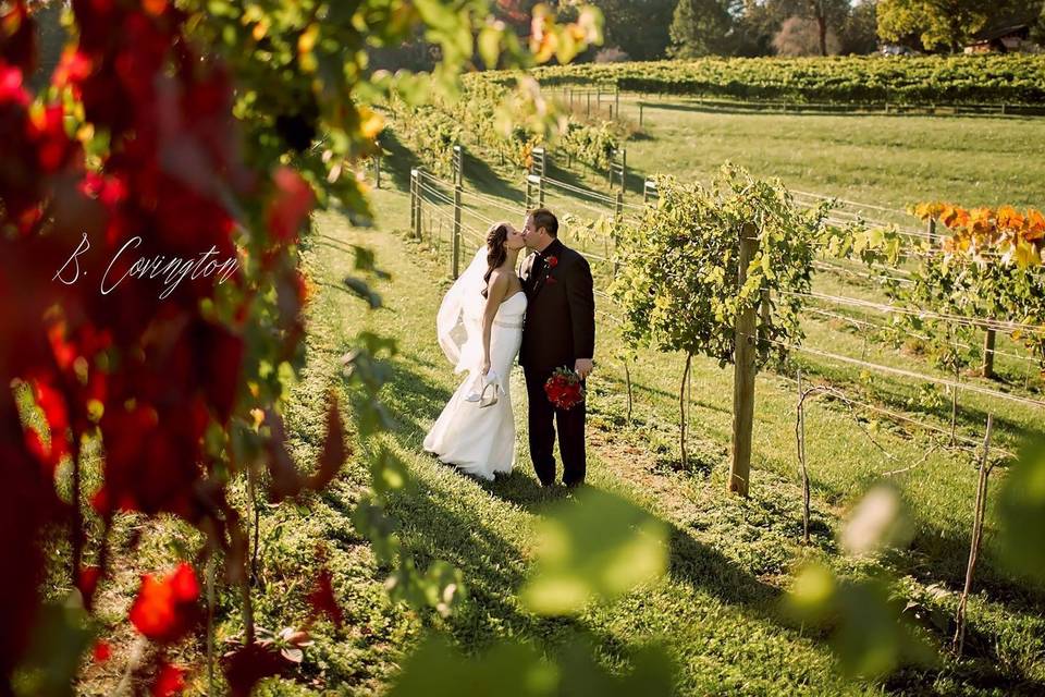 Kiss at the vineyard