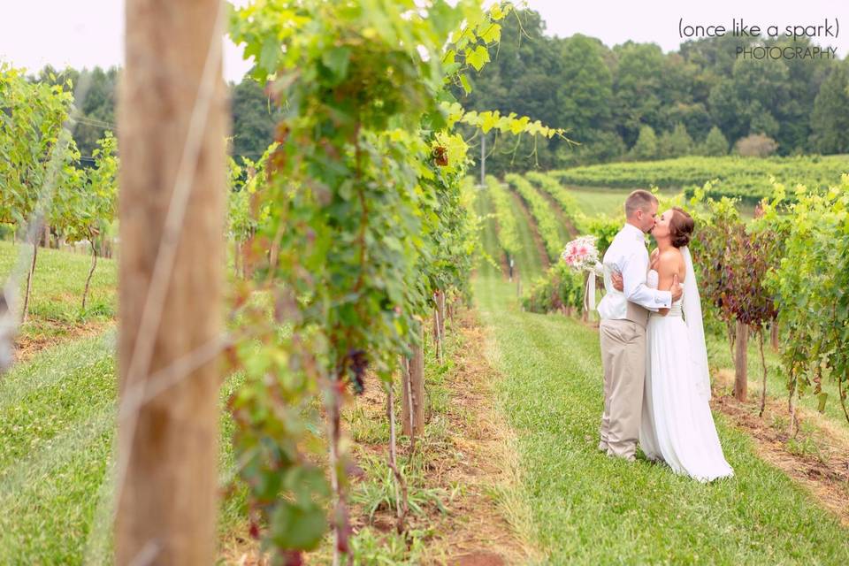 Newlyweds kissing in the vineyard