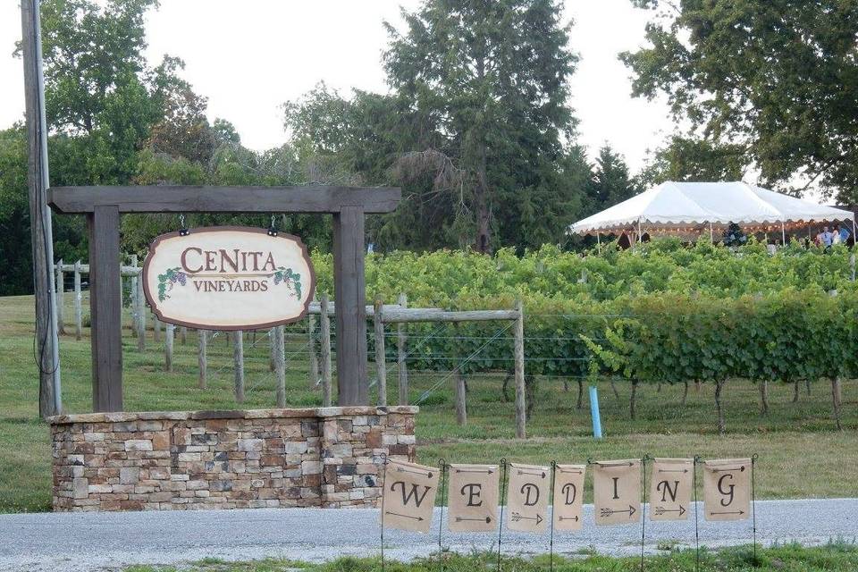 The Venue at CeNita Vineyards