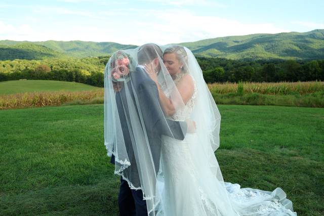 in a field0.jpg