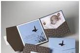 Aly Am Paperie Invitations & Gifts