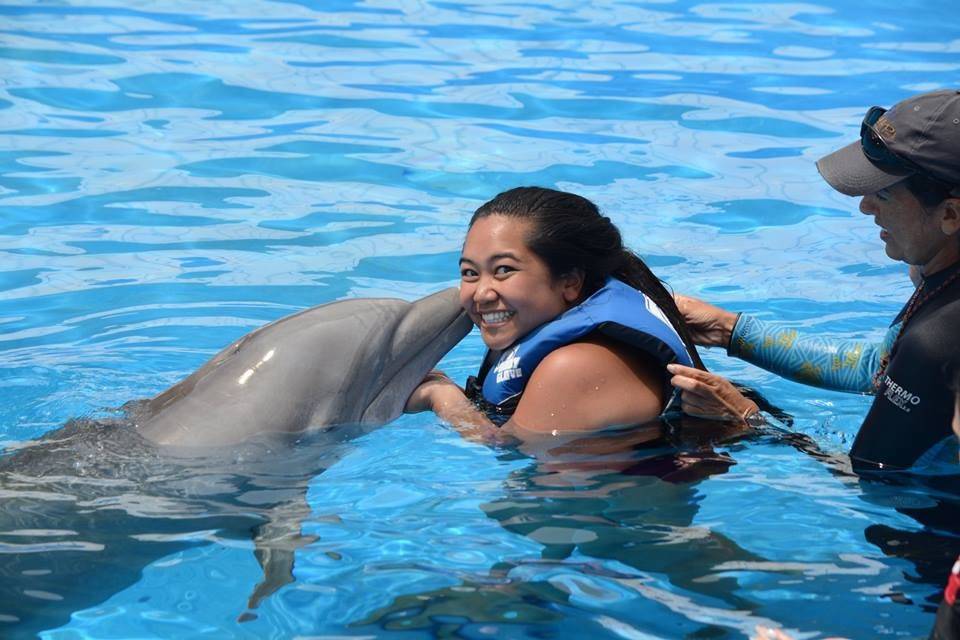 Dolphins i Hawaii