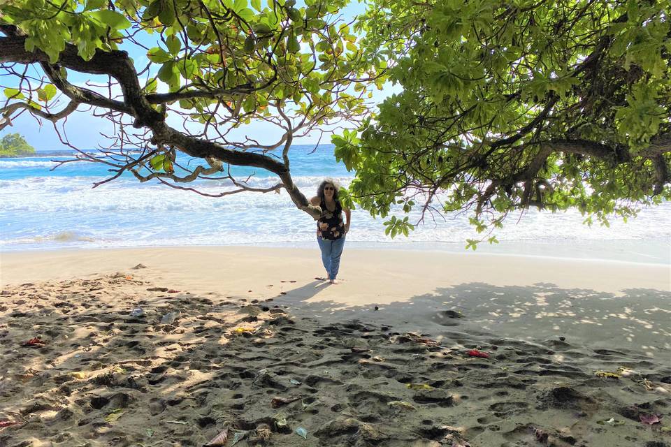 Turtles Nesting in Hawaii