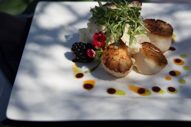 Seared Scallops