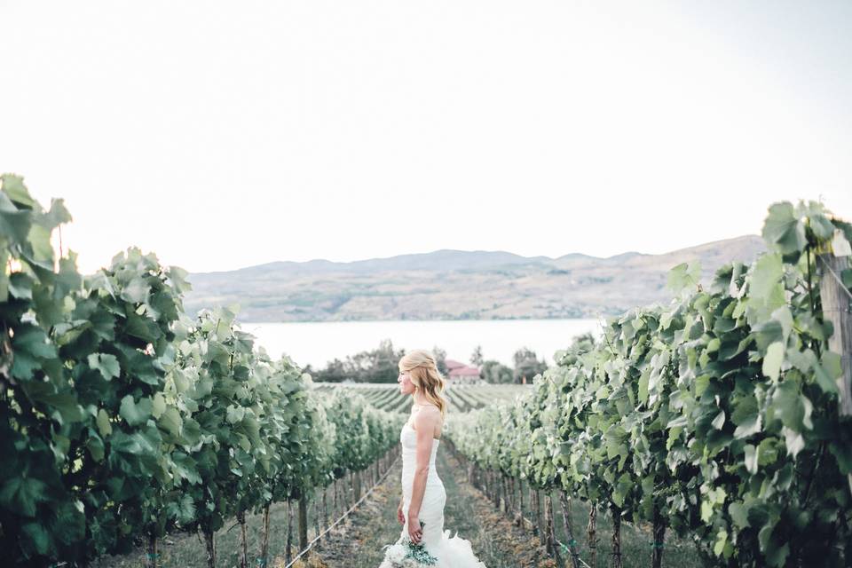 Bride in the vineyard