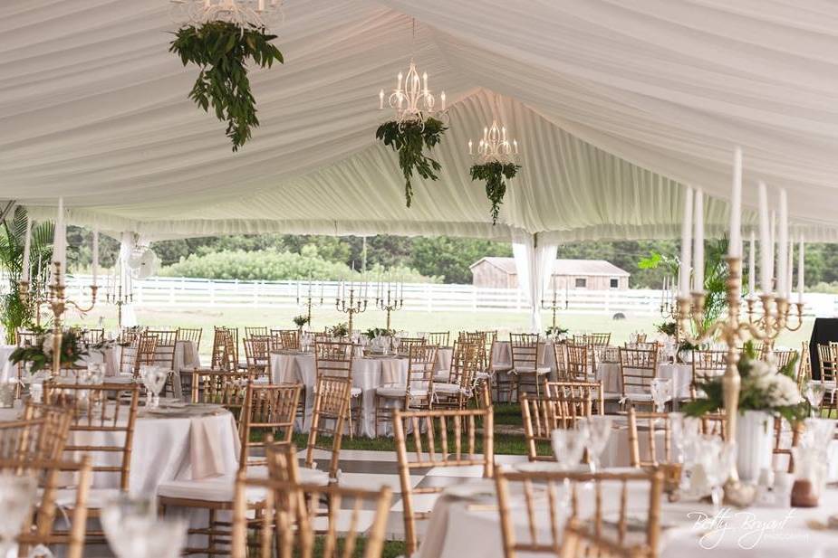 Reception Tent on Lawn