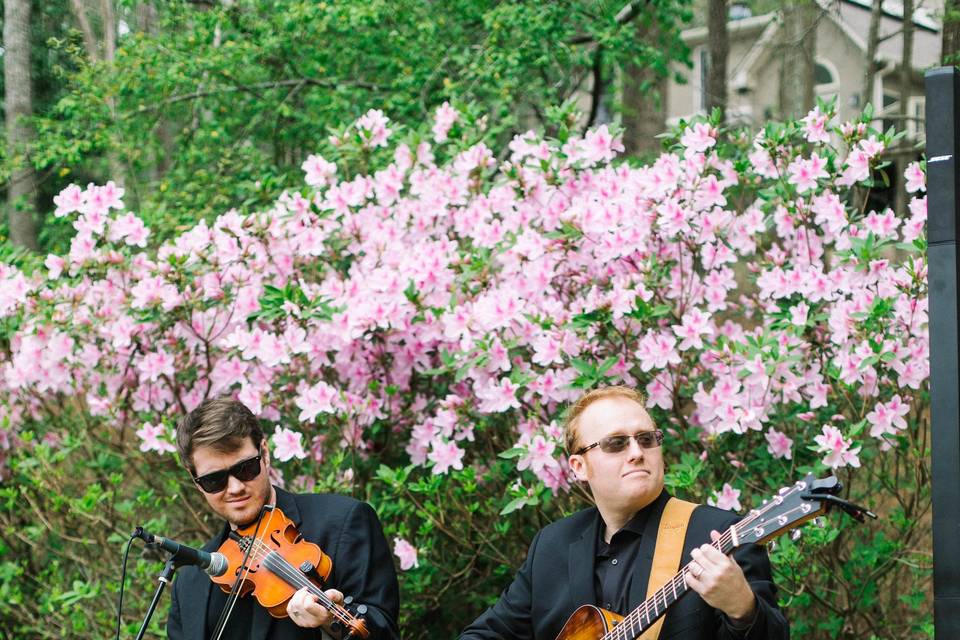 Wedding musicians