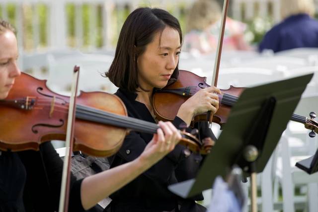 The Noble Strings